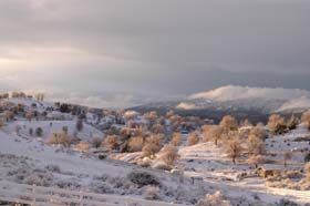 Snow blanketing the Valley